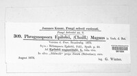 Pucciniastrum epilobii image